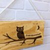 Hibou